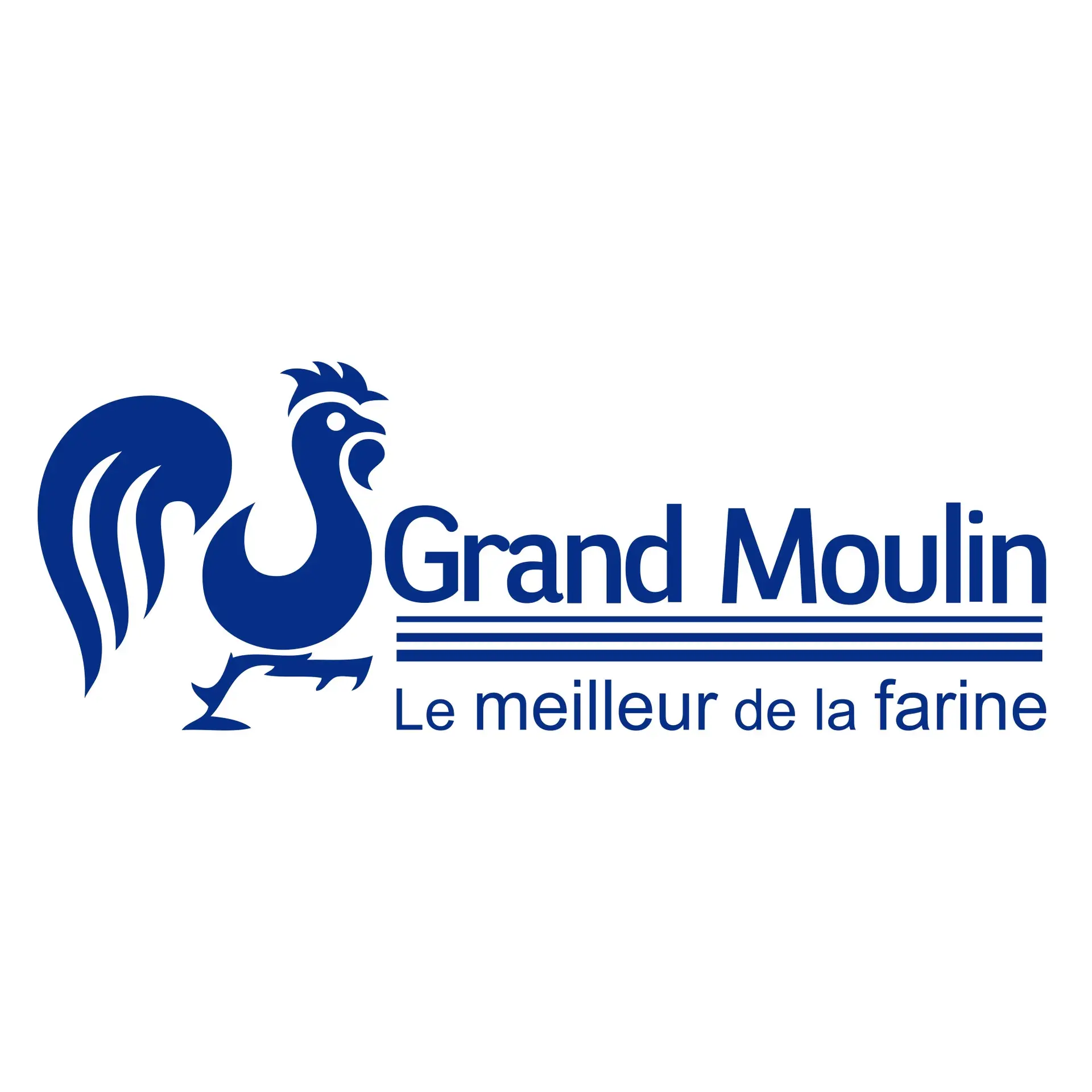 Logo Grand Moulin Cameroun